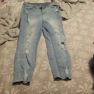 vanilla star high rise jeggings